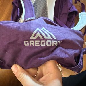 Gregory Dark Purple Backpack with Pink Accents - great for backpacking and hikin